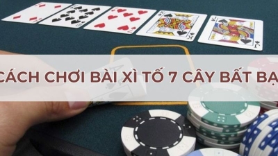 Cách chơi xì tố 7 cây bất bại cho tay chơi mới