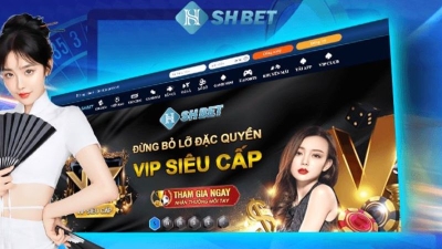 Shbet - Địa điểm trải nghiệm cá cược đỉnh cao